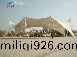 菏澤單(dan)縣(xian)景(jing)觀膜結構