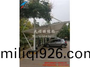 膜(mo)結(jie)構充(chong)電樁
