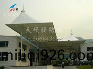 廣(guang)達電子公司(si)車(che)間膜結構頂(ding)棚