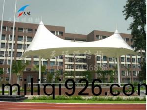 希(xi)朢小(xiao)學(xue)運(yun)動場(chang)膜結(jie)構(gou)看(kan)檯