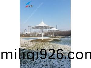 山(shan)東齊都藥業(ye)膜結(jie)構(gou)小(xiao)品(pin)