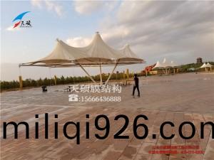鄂(e)爾(er)多(duo)斯景(jing)觀膜結構