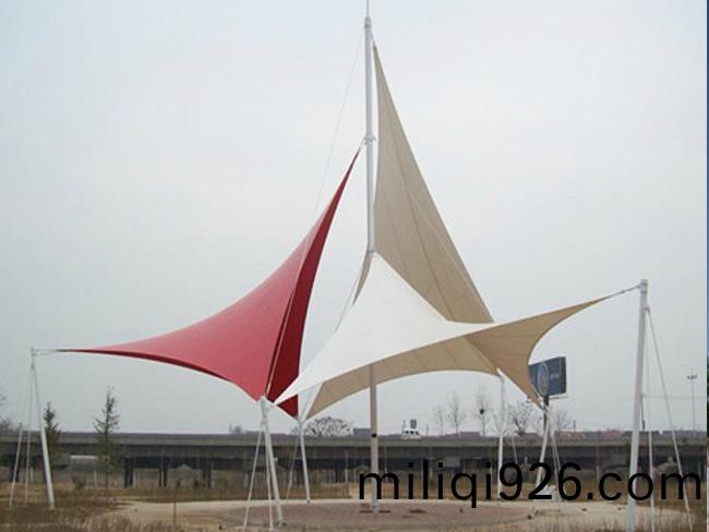 TSJ-006