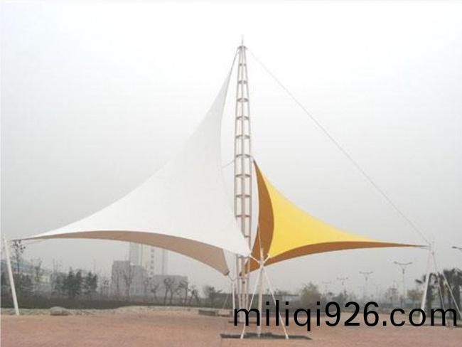 TSQ-012