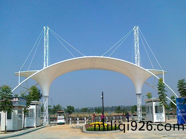 TSQ-008