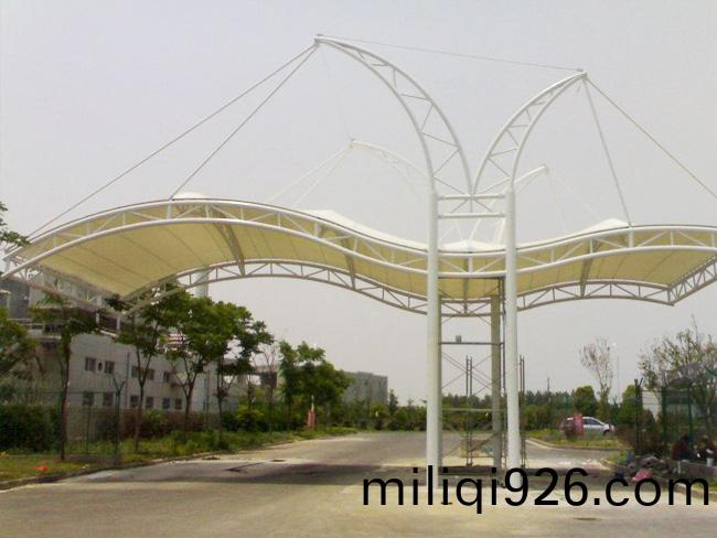 TSQ-007
