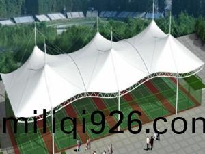 tsy-002