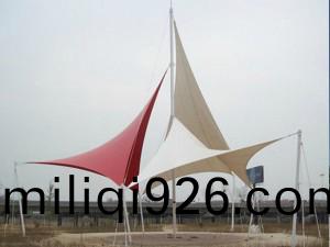 TSJ-006
