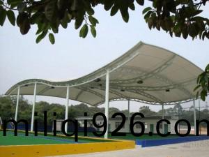 TSY-015