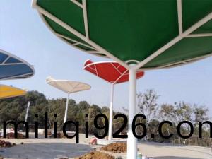 TSQ-016