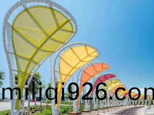 TSQ-015