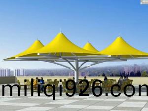 TSQ-014