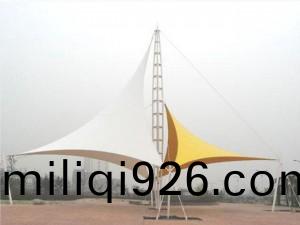 TSQ-012