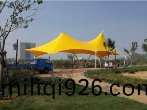 TSQ-011