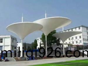 TSQ-009