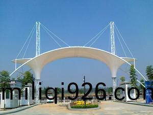 TSQ-008