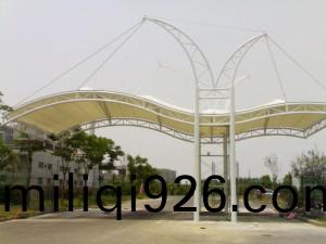 TSQ-007