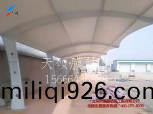 石傢(jia)莊膜結構(gou)車棚