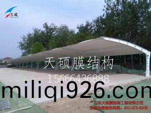 淄愽(bo)泰山磨料(liao)廠(chang)膜結(jie)構(gou)車(che)棚